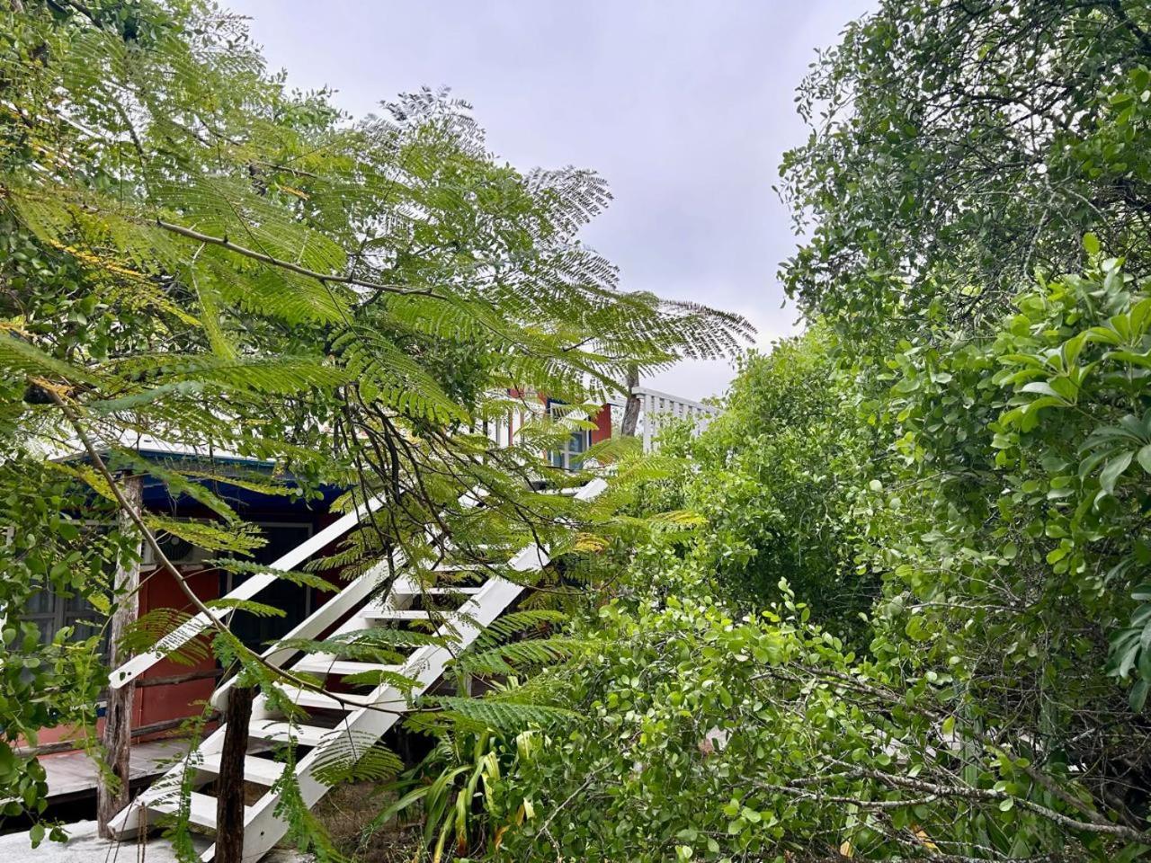 Casa Kubler Bed and Breakfast Puerto Ayora  Exteriör bild